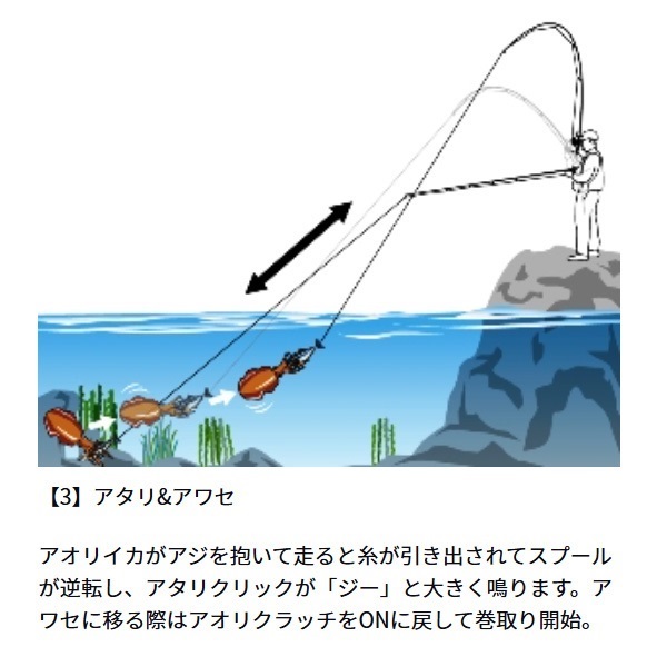 アオリトライアル BR